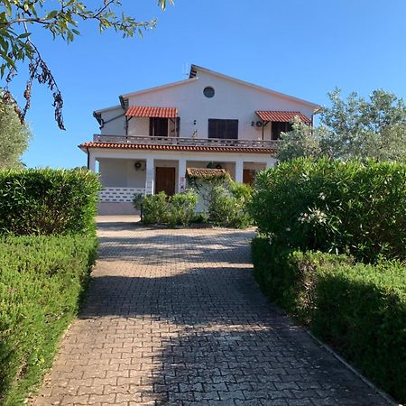 Villa Conti Residence ラコナ エクステリア 写真